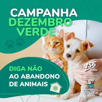 Dezembro Verde: Vitória contra o abandono e os maus-tratos aos animais
