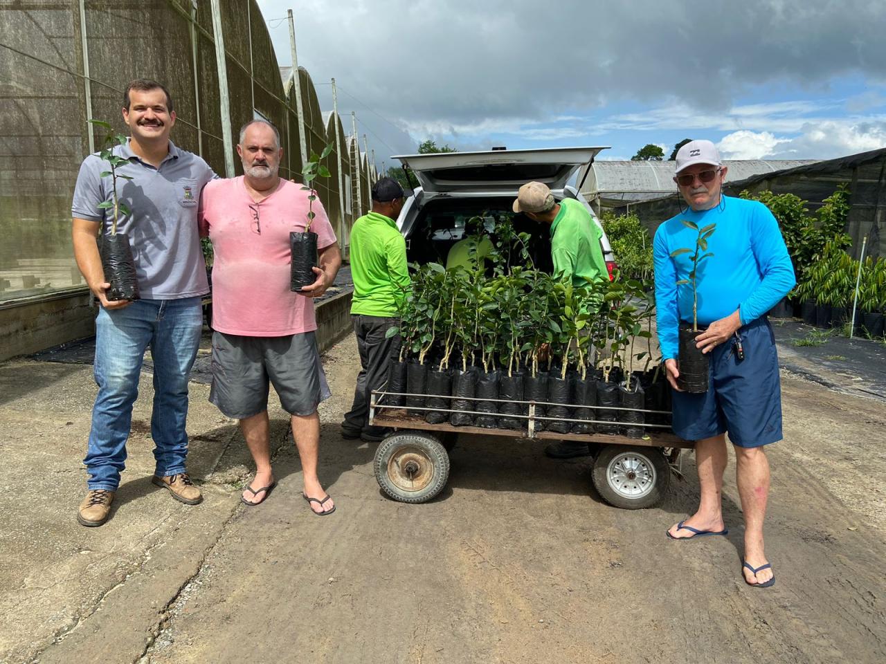 Programa Municipal de Fruticultura de Linhares é ampliado com distribuição de mais mudas de limão