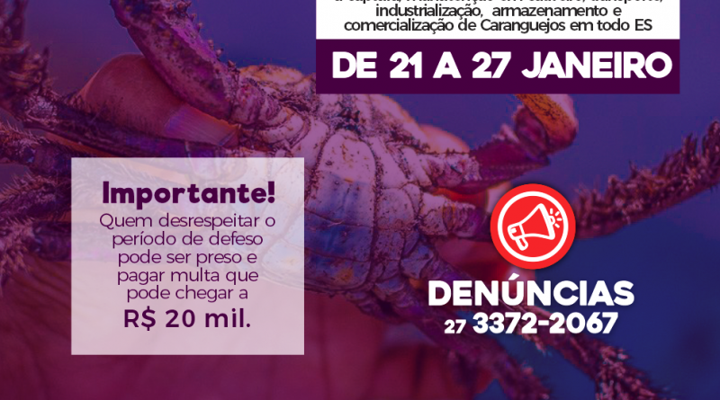 Segunda andada do caranguejo-uçá começa no próximo dia 21