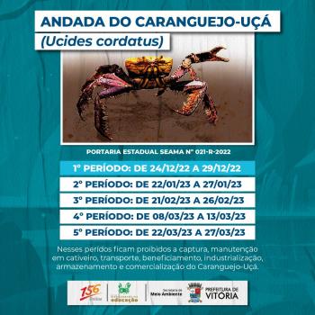 Segundo período da andada do caranguejo-uçá começa neste domingo