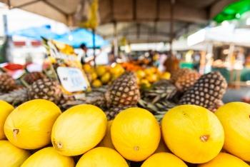 Assistência Social divulga edital para compra direta de alimentos de agricultor