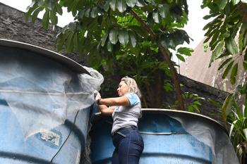 Estudo mostra que principais criadouros da dengue estão em residências