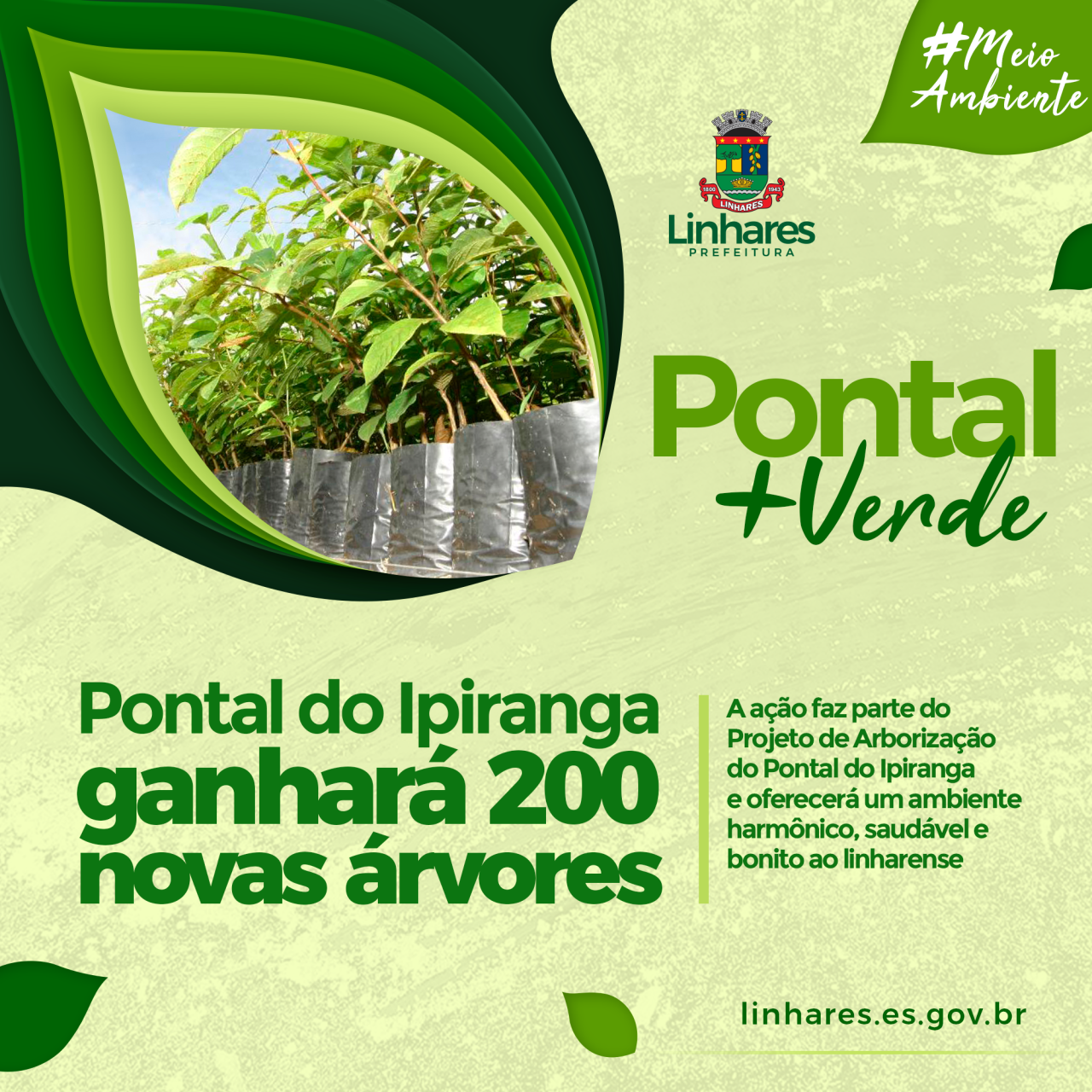 Prefeitura realiza o plantio de 200 árvores no Pontal do Ipiranga