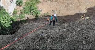 Coletores alpinistas da Secretaria de Serviços finalizam limpeza no muro de contenção de Alto Lage