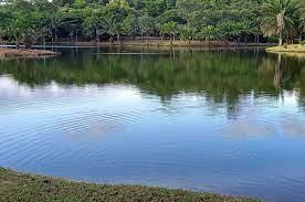 Dia mundial da água é celebrado com palestra de conscientização na Serra