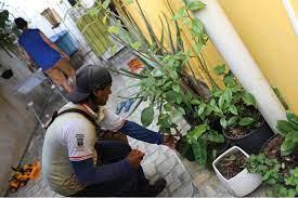 Operação integrada de combate à dengue aconteceu em Cariacica-Sede nesta quinta-feira (9)