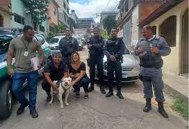 Prefeitura resgata cachorro vítima de maus-tratos em Vila Graúna