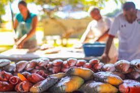 ROTA DO PESCADO: Saiba onde comprar peixe fresco na Serra