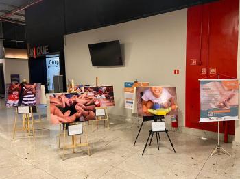 Exposição 