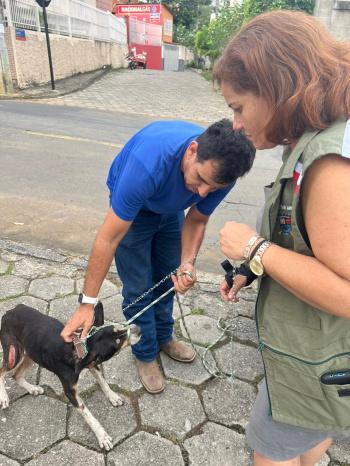 Maus-tratos de animais: denúncias e identificação do autor são fundamentais