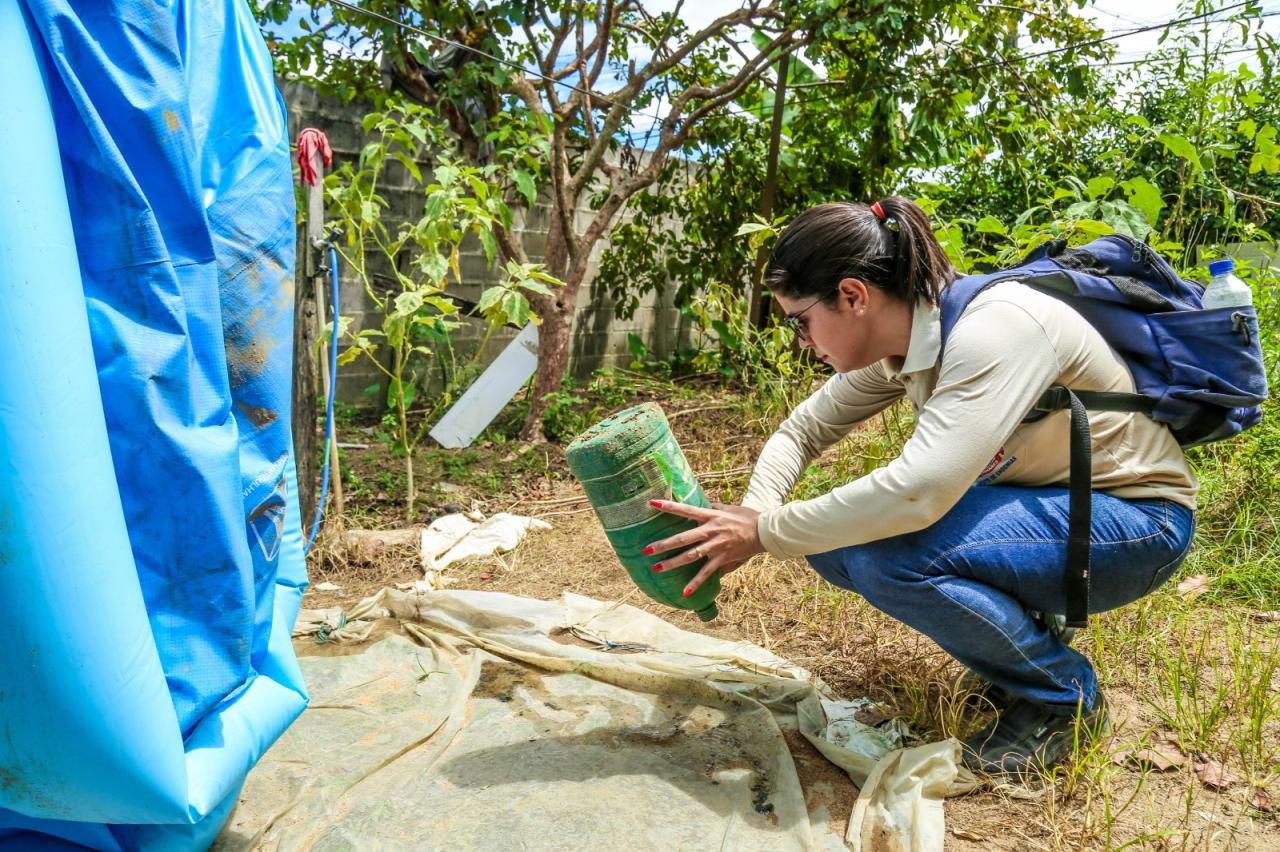 Levantamento de índice rápido vai apontar bairros com maior infestação de mosquito da dengue em Linhares
