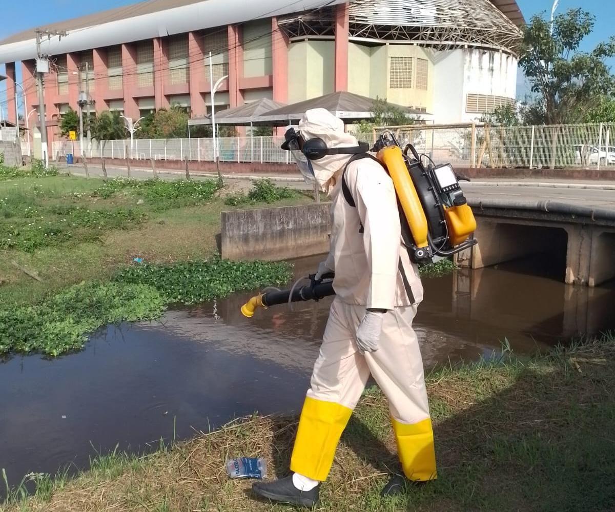 Micro-organismo irá ajudar combater a dengue em Anchieta