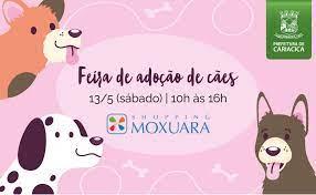 Sábado (13) tem Feira de Adoção de Cães no Shopping Moxuara