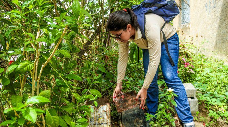 Bairro Canivete recebe mobilização contra a dengue neste sábado (24)
