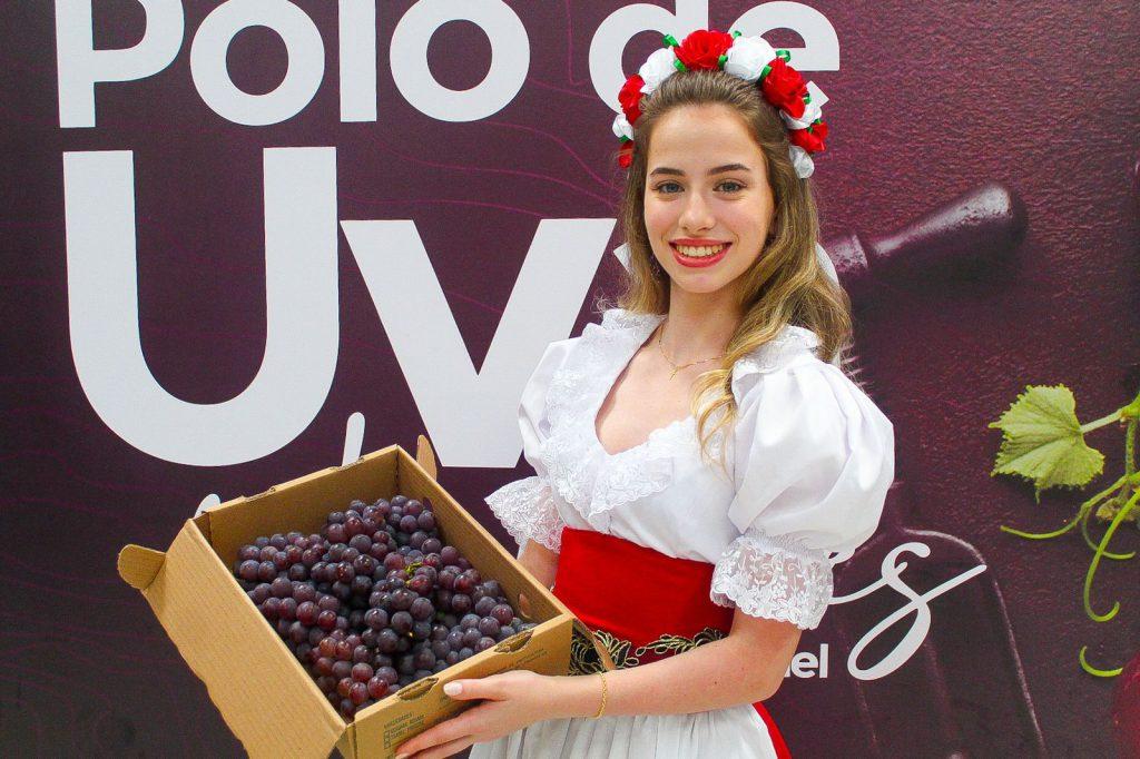 Festa da Uva de Linhares terá rota por parreirais, shows musicais e apresentações culturais