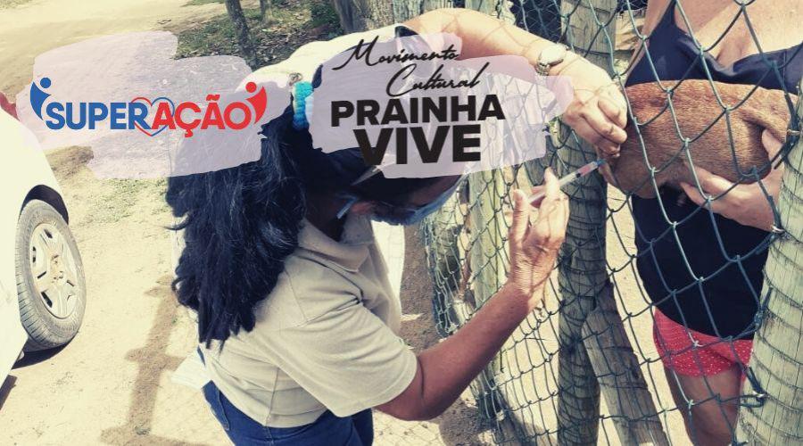 ​Fim de semana tem vacinação antirrábica em Vila Velha