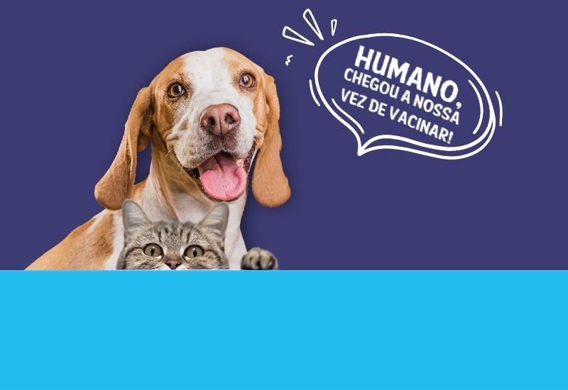 Prefeitura promove vacinação antirrábica em Itapina