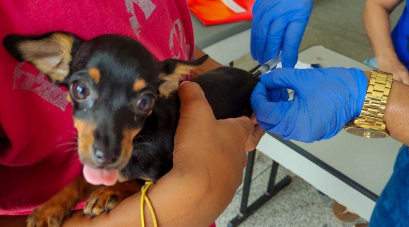Vacina antirrábica: Baixo Quartel recebe equipe da Unidade de Vigilância de Zoonoses nesta