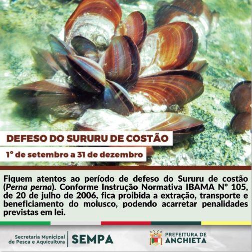 Defeso do Sururu de costão vai até 31 de dezembro