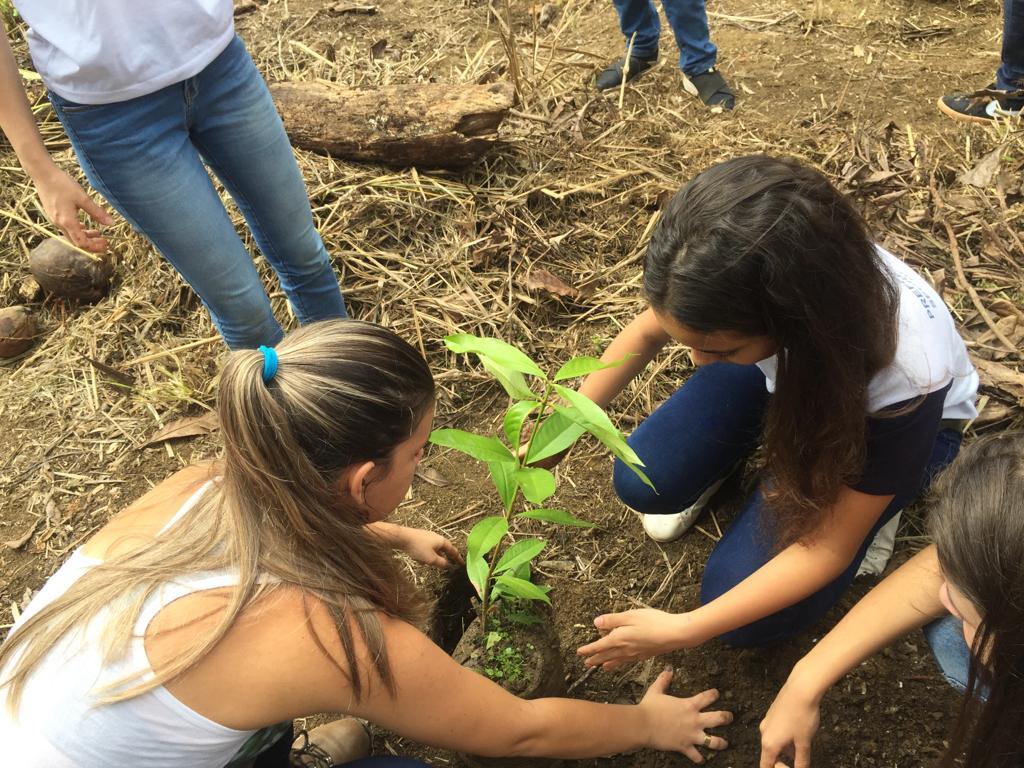 Semana com diversas ações para comemorar Dia da Árvore