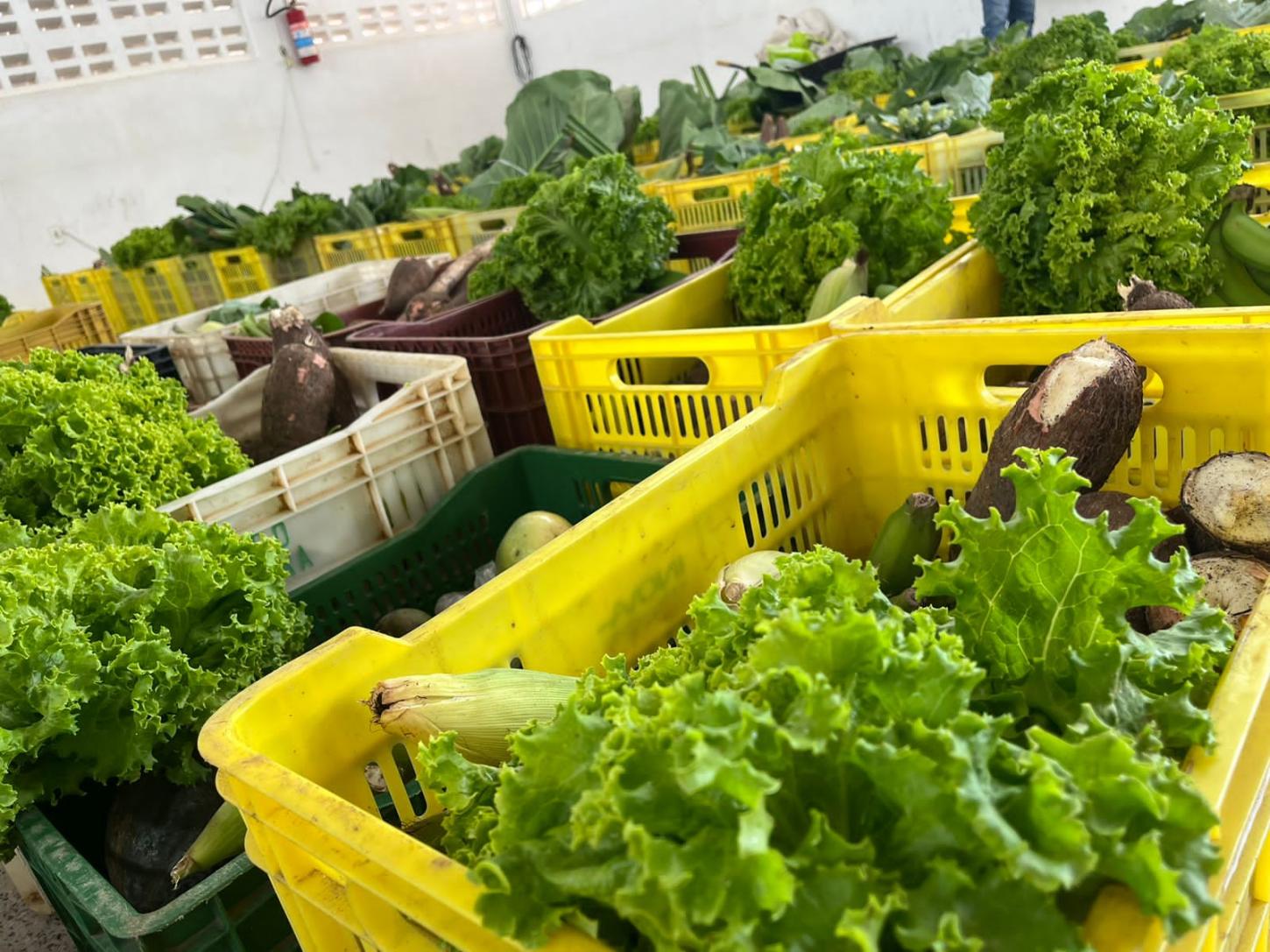 Terceira Entrega da Cesta Verde do PAA Reforça Compromisso Social em Boa Esperança