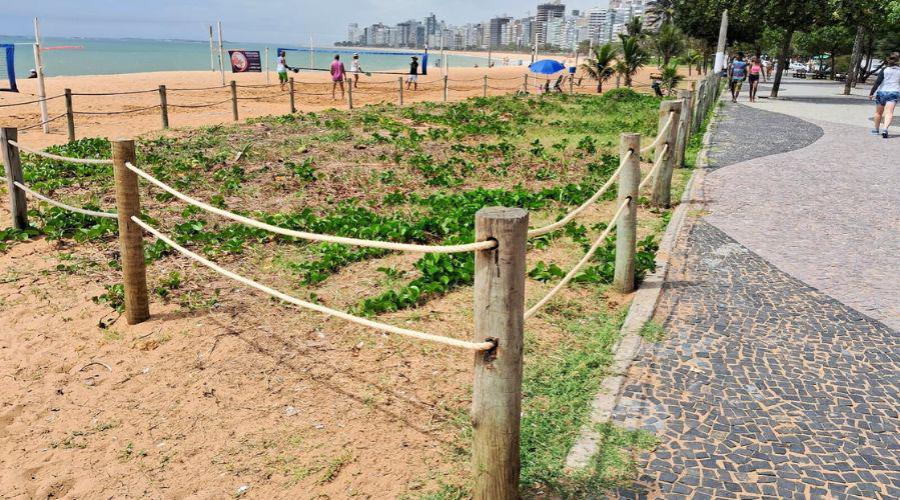Vila Velha realiza manutenção periódica na orla para proteção das restingas
