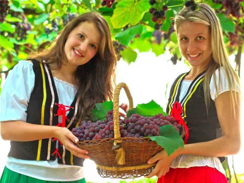 Confira a programação da 59ª Festa da Uva do Vinho