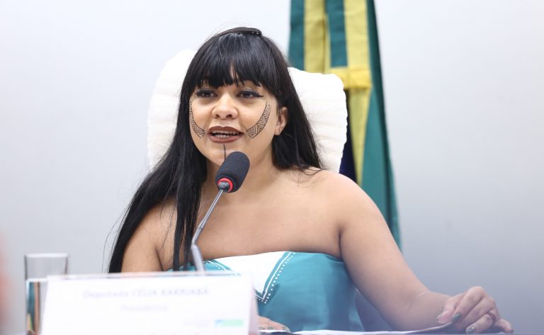 Comissão aprova suspensão de norma sobre identificação de indígenas na navegação de interior