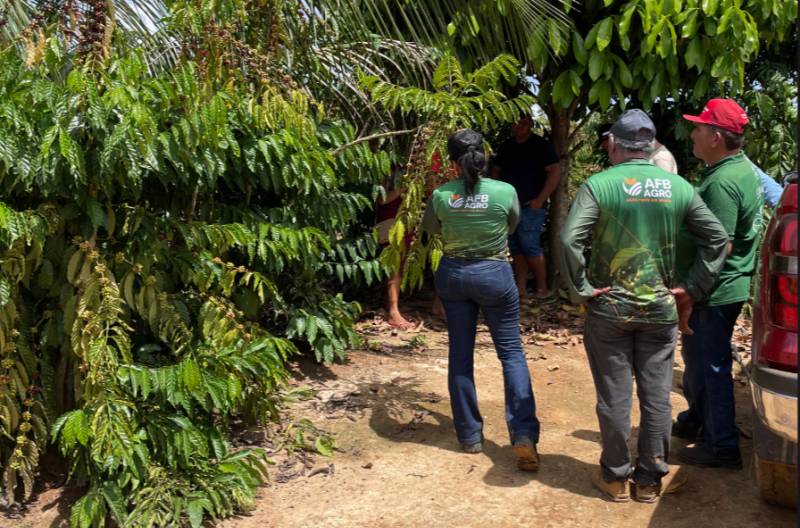 Café na Amazônia: o agronegócio que une produtividade, sustentabilidade e inclusão