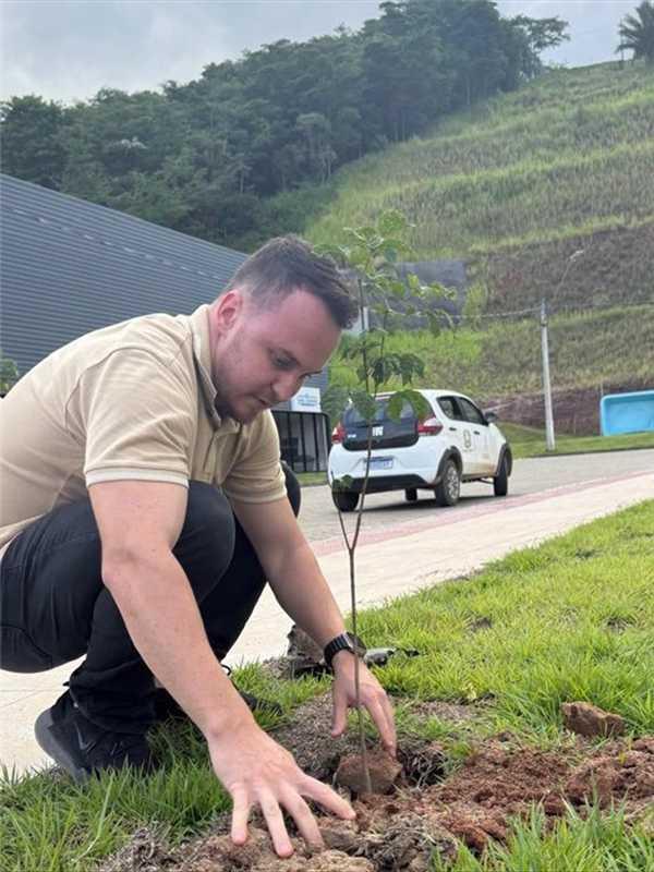 Projeto Arborizar avança e amplia plantio de árvores na sede de Alfredo Chaves