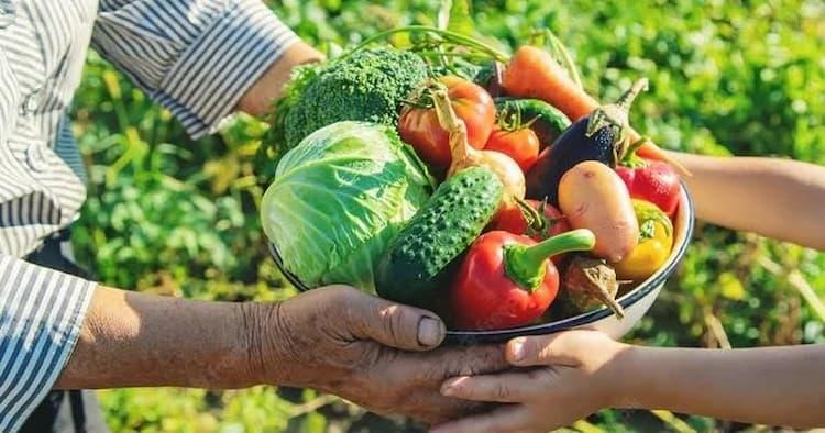 Prefeitura abre seleção do Programa de Aquisição de Alimentos com investimento de R$ 175 mil