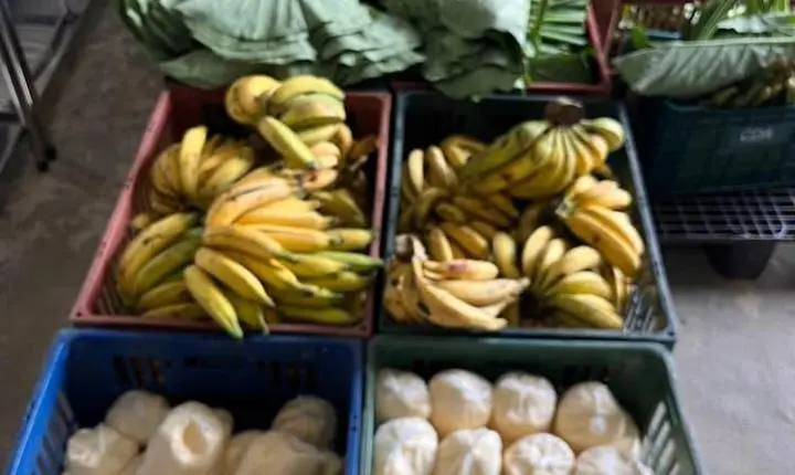 50 famílias são contempladas com o Programa de Aquisição de Alimentos em Alfredo Chaves