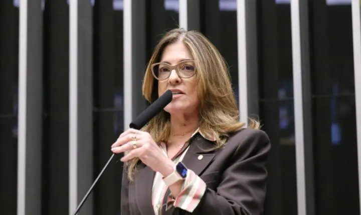 Comissão aprova projeto que permite programas de fidelidade com prazo maior para gestante