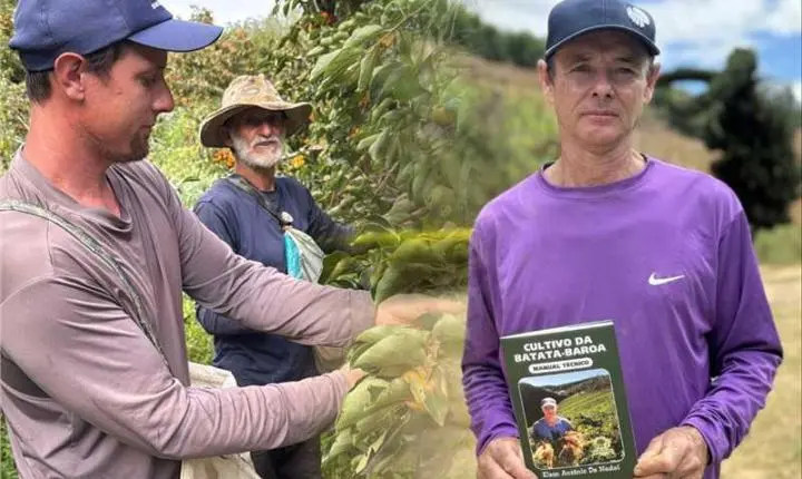 Episódio conta a história da produção de caqui e batata-baroa em Alfredo Chaves