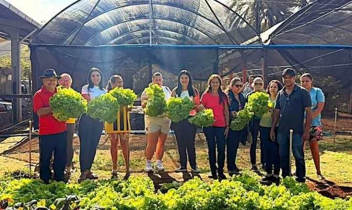 Hortoterapia promove saúde mental, autonomia e convivência em Alfredo Chaves
