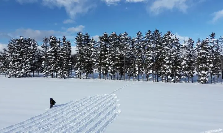Land Art: artistas transformam natureza em telas