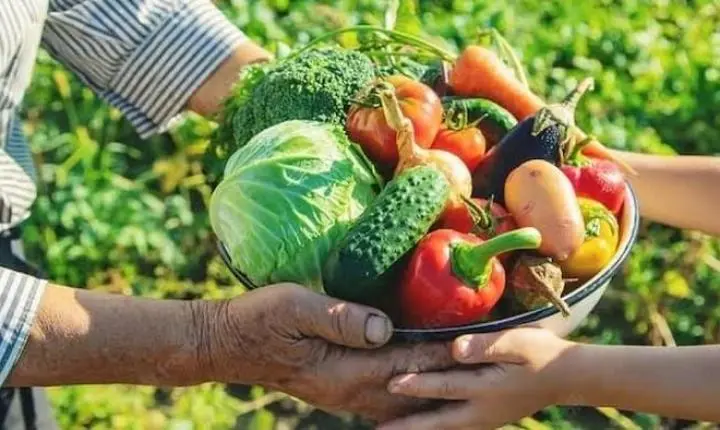 Prefeitura abre seleção do Programa de Aquisição de Alimentos com investimento de R$ 175 mil
