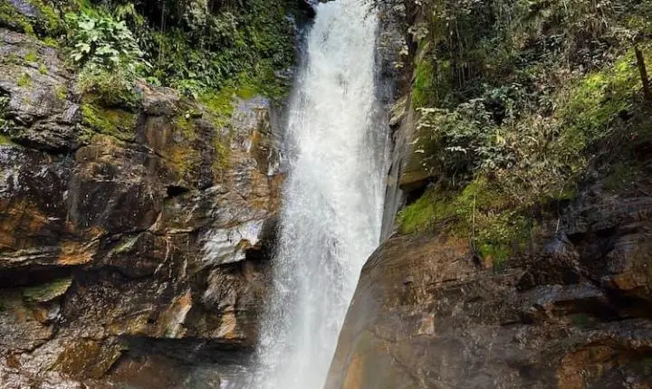 Prefeitura inicia elaboração do Plano de Manejo do Parque Natural Municipal Cachoeira de Iracema