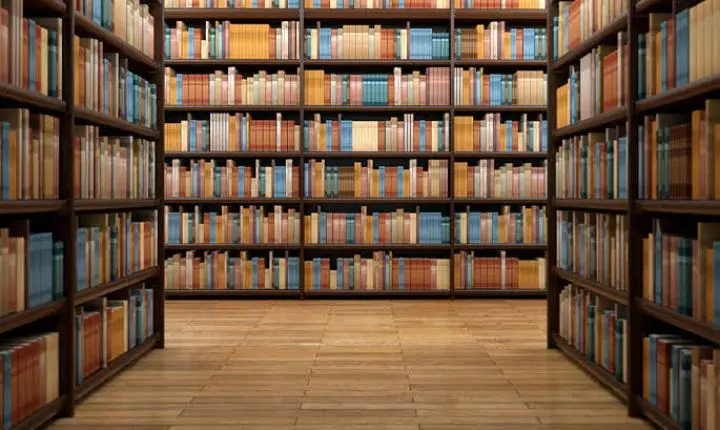 Telos Editora amplia catálogo com livros de Rocio Bonilla